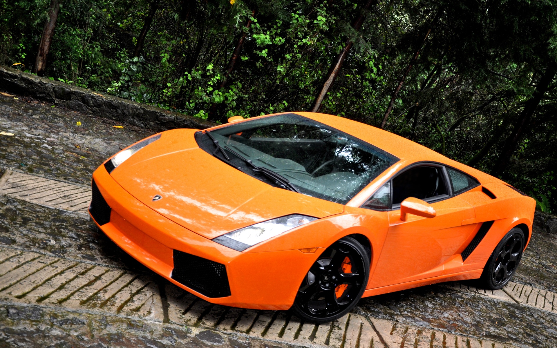 兰博基尼,街拍,运动,轿车,宽屏,名车,2012Y十月31D,儿童桌面专用