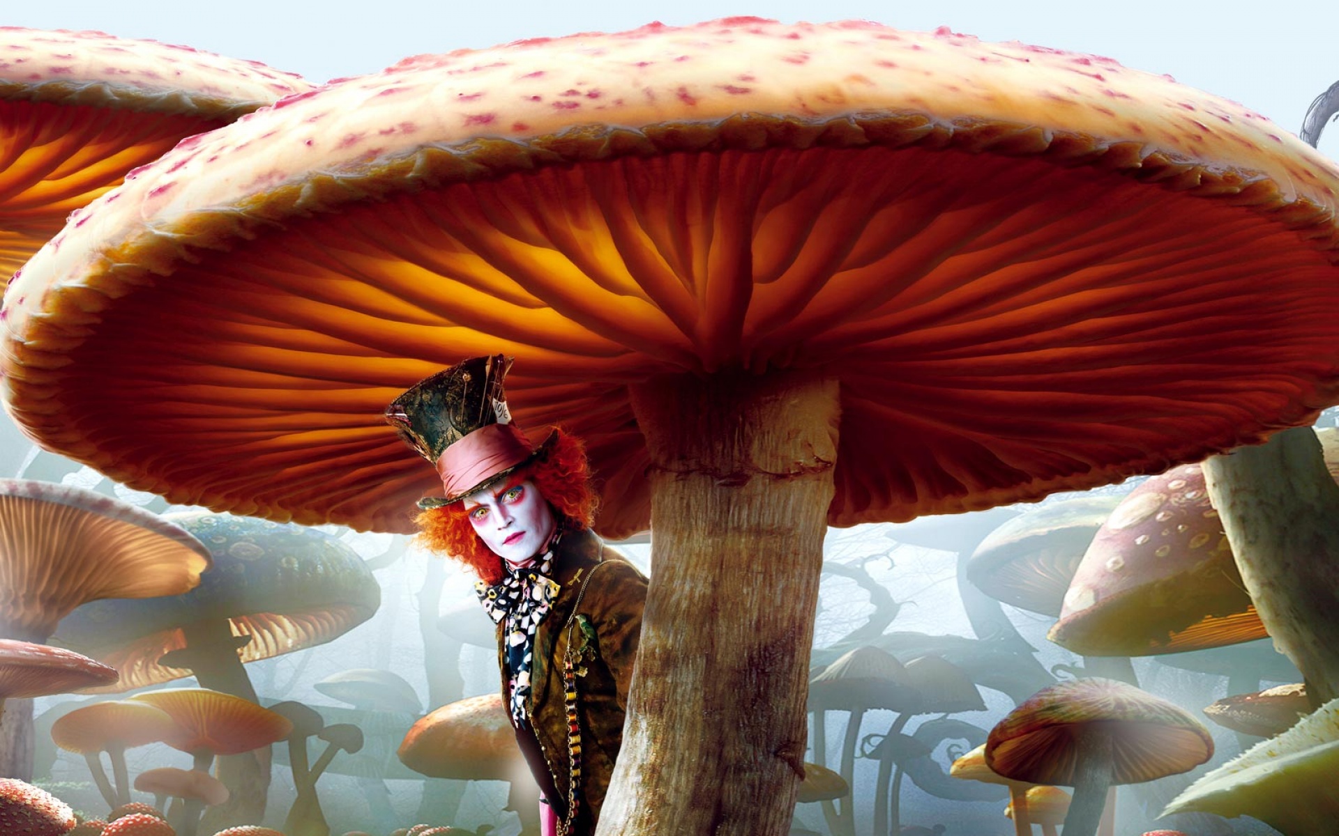 爱丽丝梦游仙境,影视,2012Y十一月01D,科幻惊悚