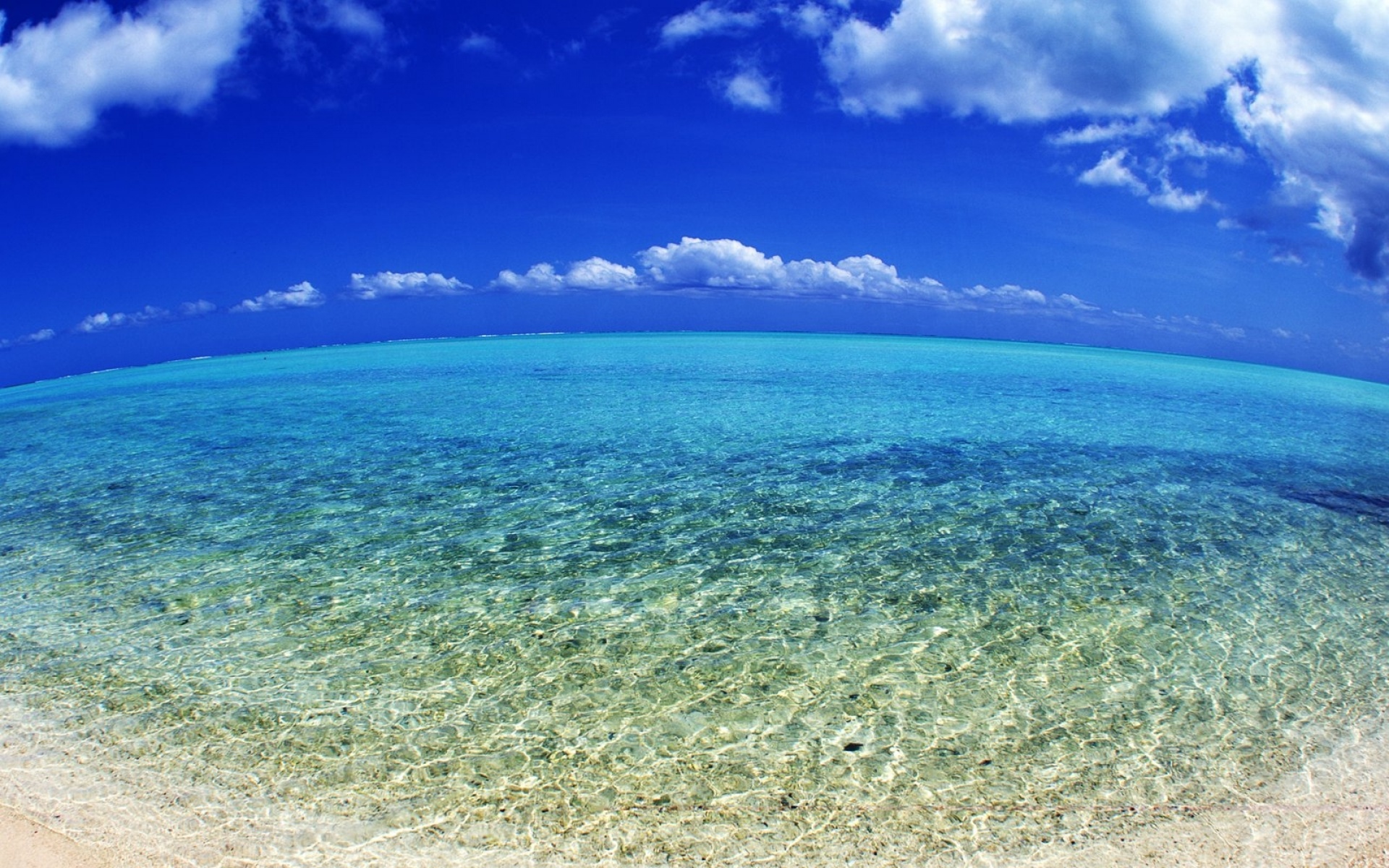 风景,海洋天堂,2012Y十月31D,儿童桌面专用