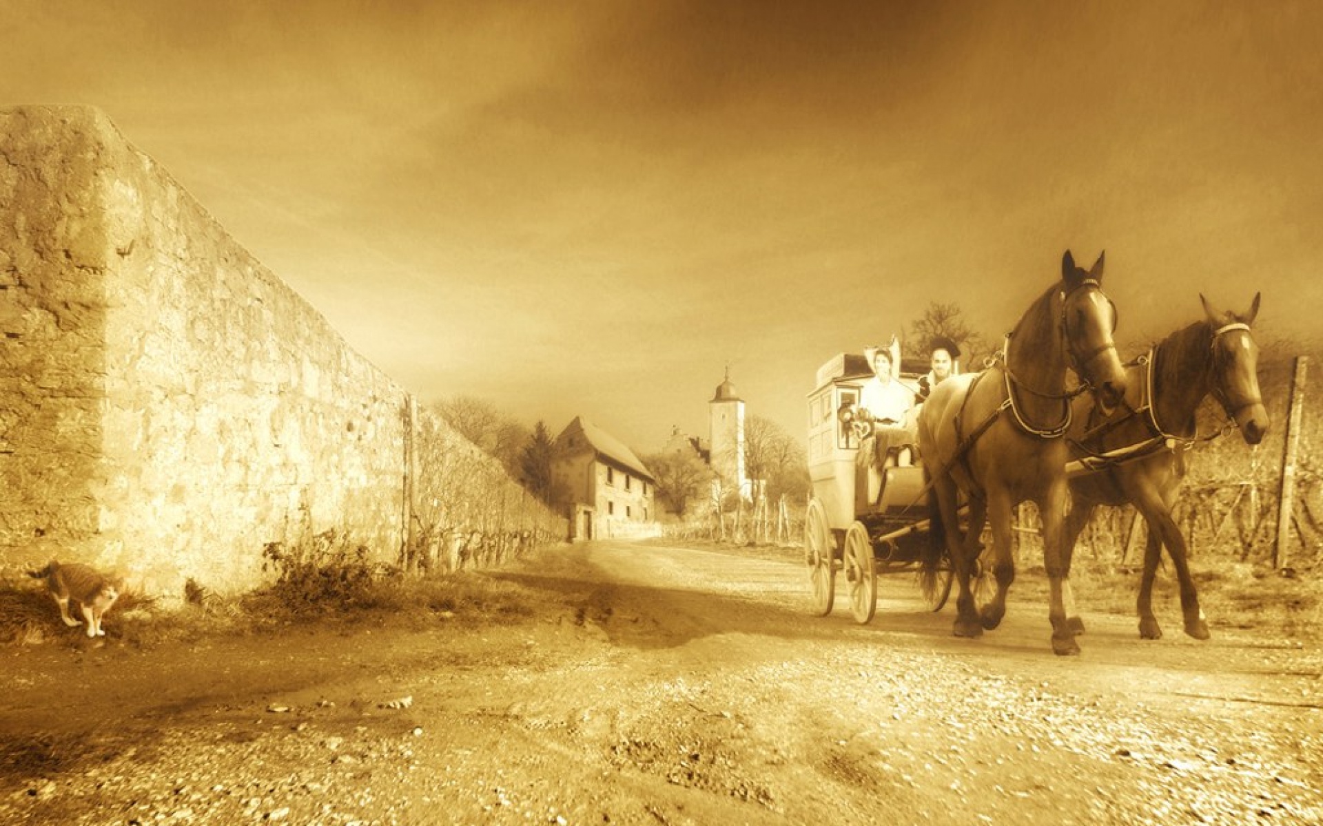 魔幻,世界,设计,精美,插画,2012Y十一月03D,创意,儿童桌面专用