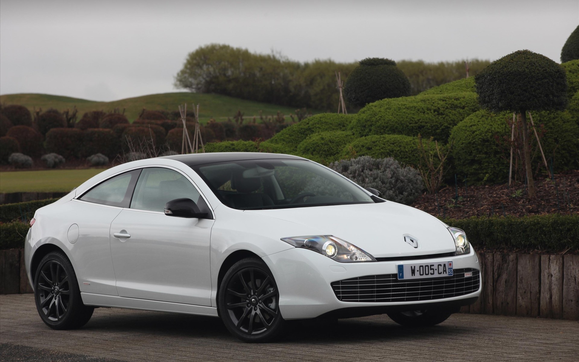 雷诺,汽车,宽屏,拉古娜,2012Y十一月03D,儿童桌面专用