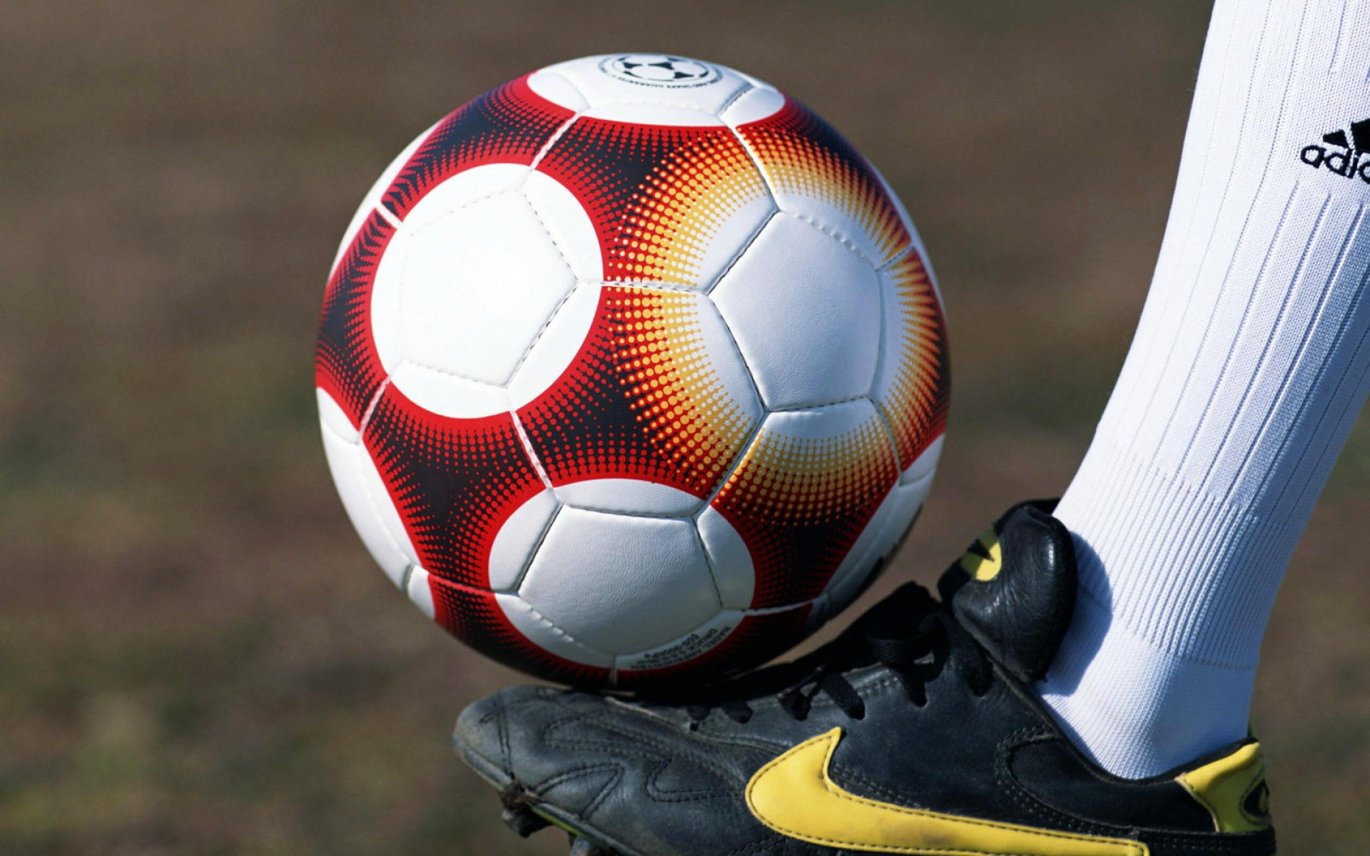 运动,2012Y十一月12D