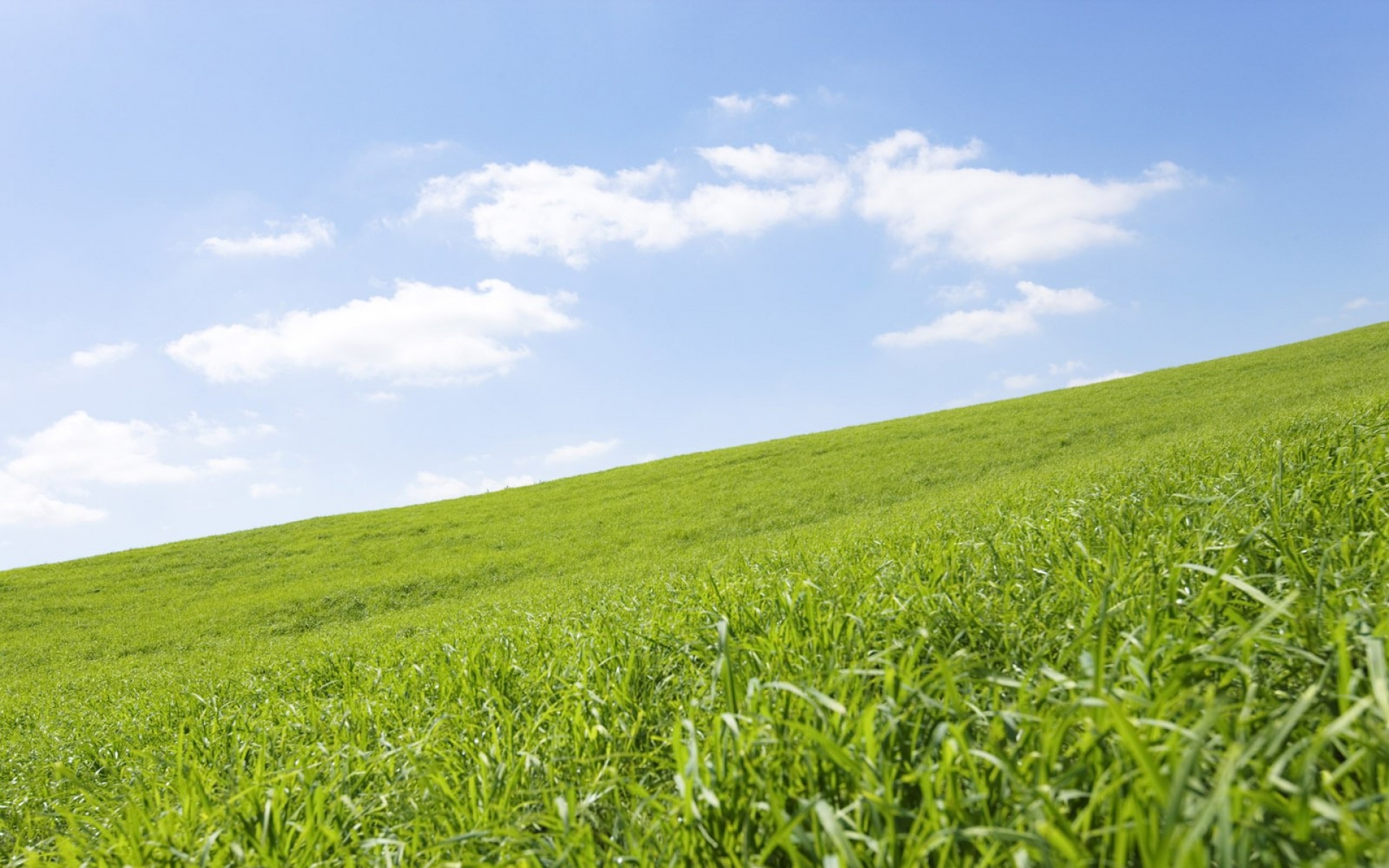 小清新,护眼壁纸,儿童桌面专用