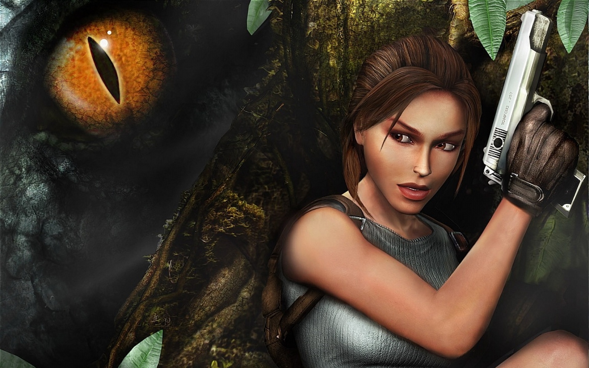 古墓,丽影,10周,纪念版,游戏,2012Y十一月12D