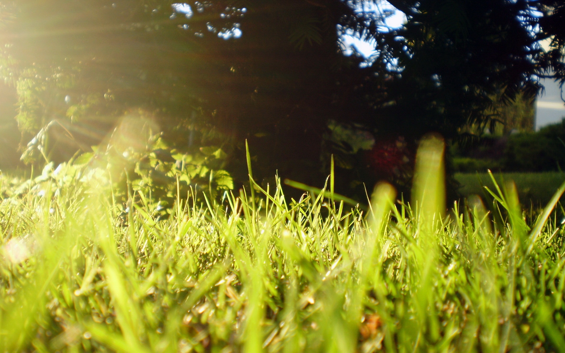 风景,碧绿草原,2012Y十月31D,儿童桌面专用