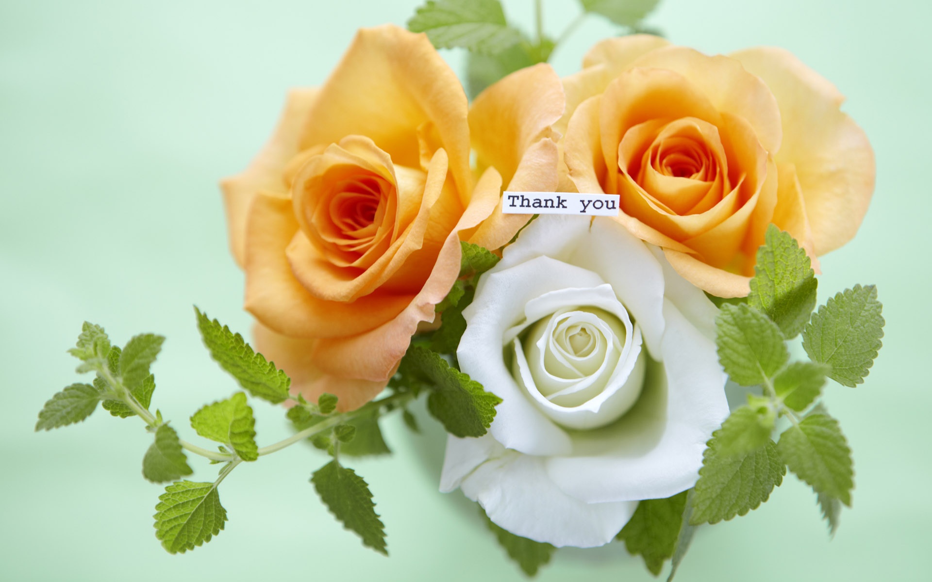 温馨,家具,家居,高清,宽屏,2012Y十月30D,儿童桌面专用