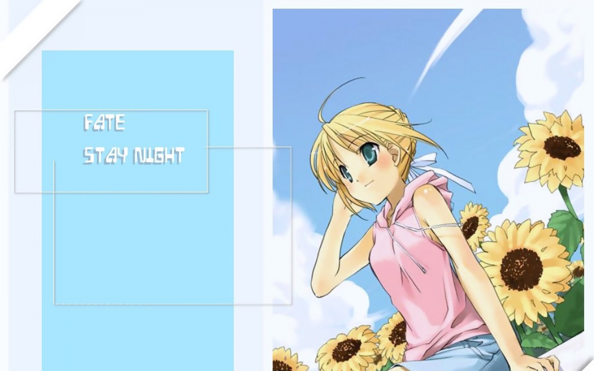 命运守护夜,游戏,2012Y十一月21D