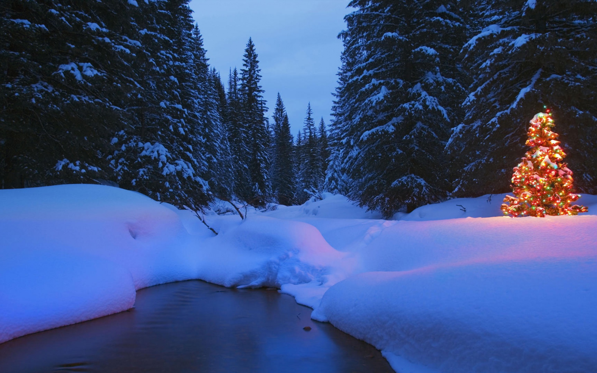 风景,冰天雪地,2012Y十月30D,儿童桌面专用