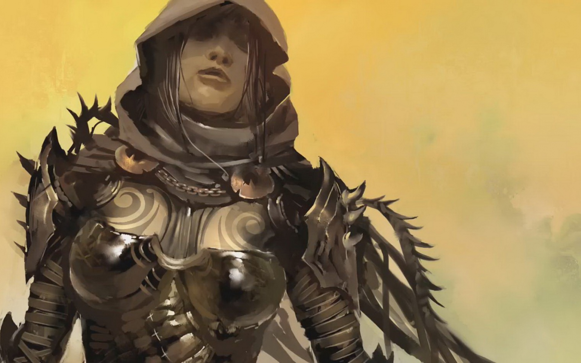 行会战争,理想人生,The,Guild,游戏,原画,宽屏,2012Y十一月02D