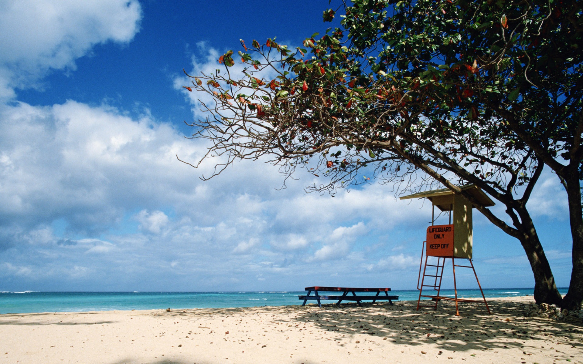 风景,自然风光,2012Y十一月11D,儿童桌面专用