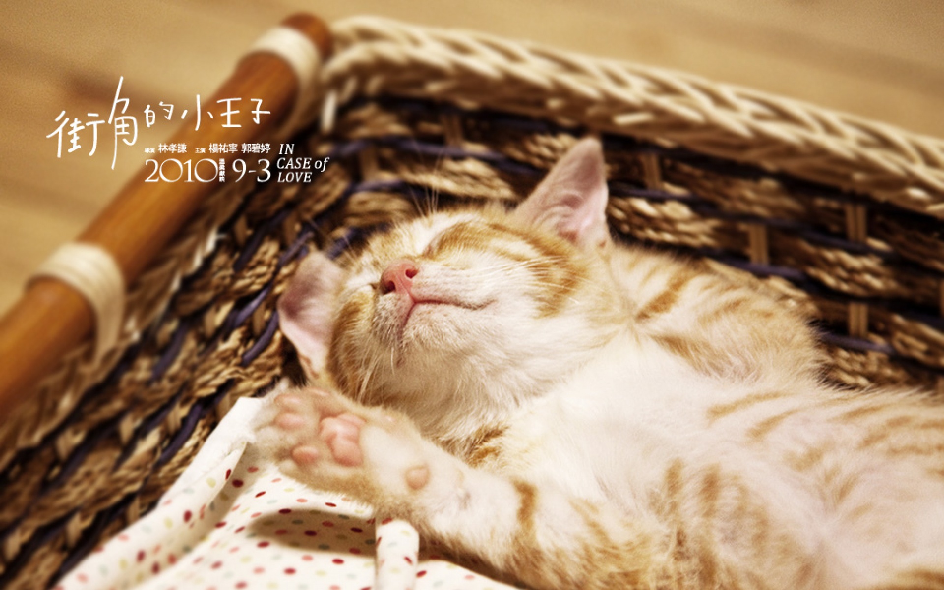 街角的小王子,影视,电影,2012Y十月30D