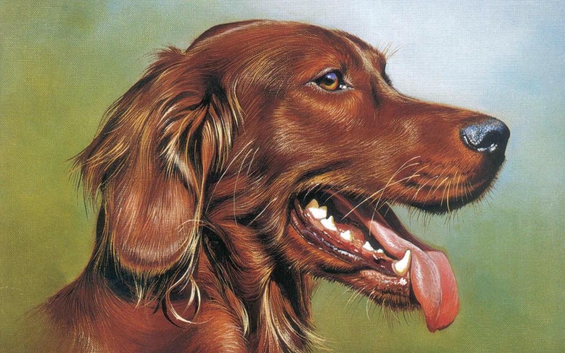 动物,绘画,风格,2012Y十一月04D,儿童桌面专用