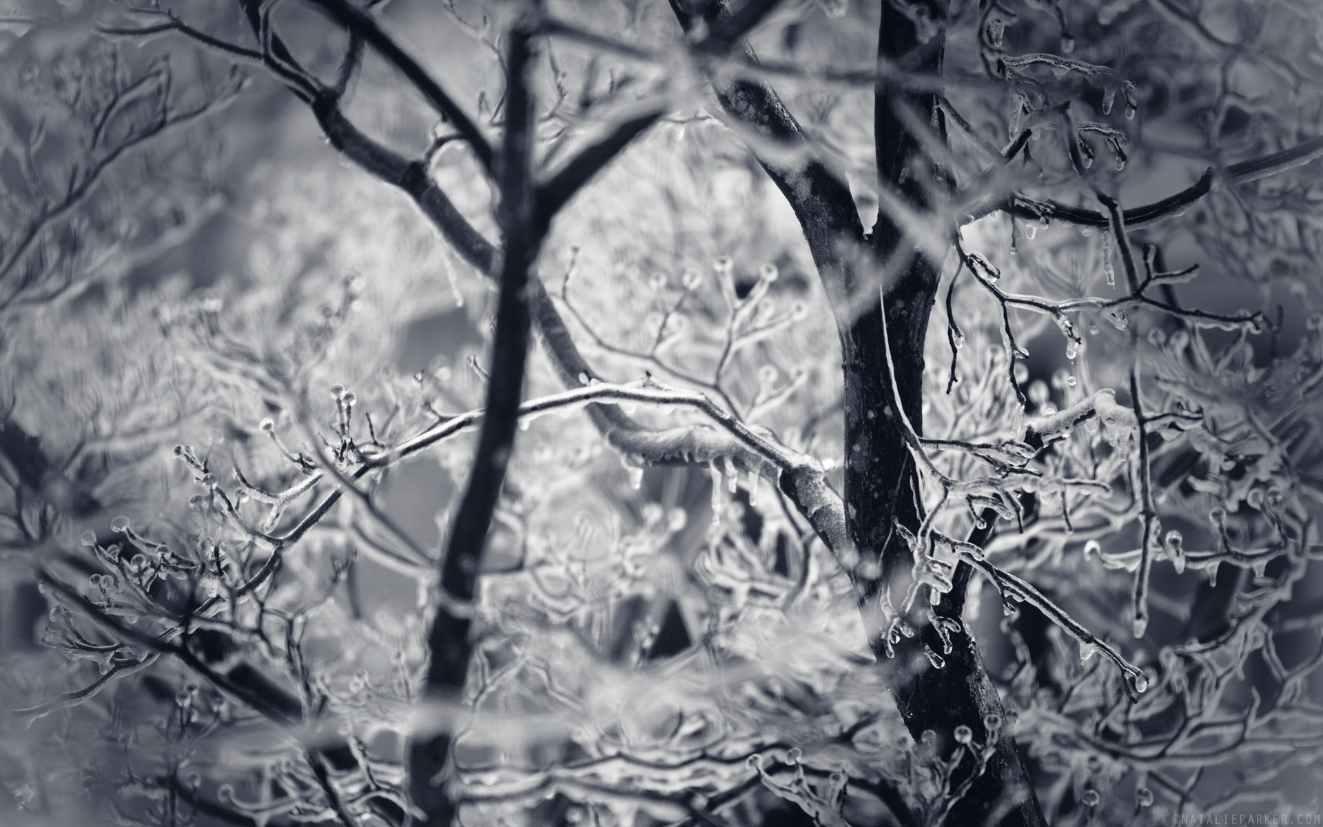 风景,冰天雪地,2012Y十月31D,儿童桌面专用