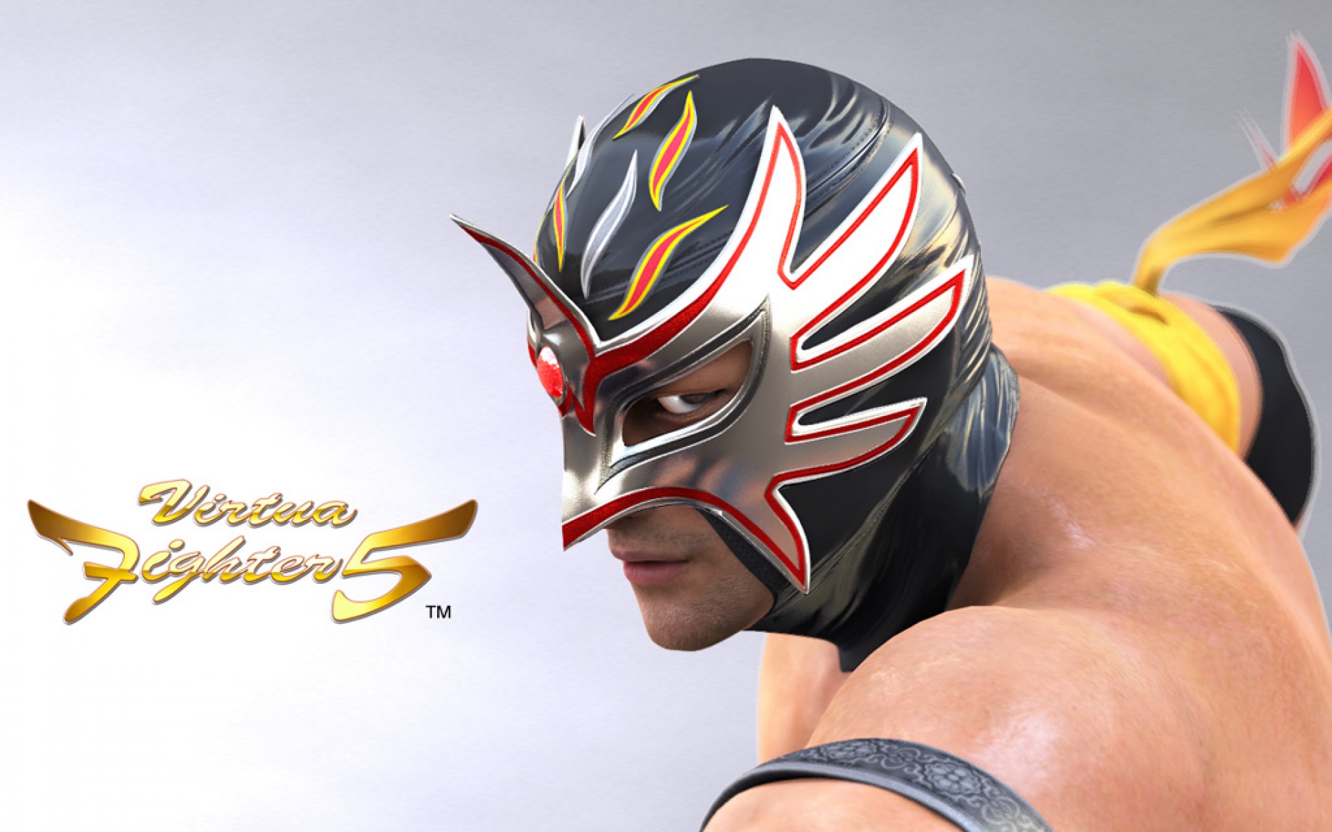 VR战士,游戏,2012Y十一月12D