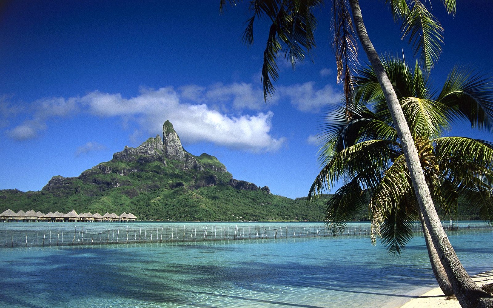 风景,海洋天堂,2012Y十一月04D,儿童桌面专用