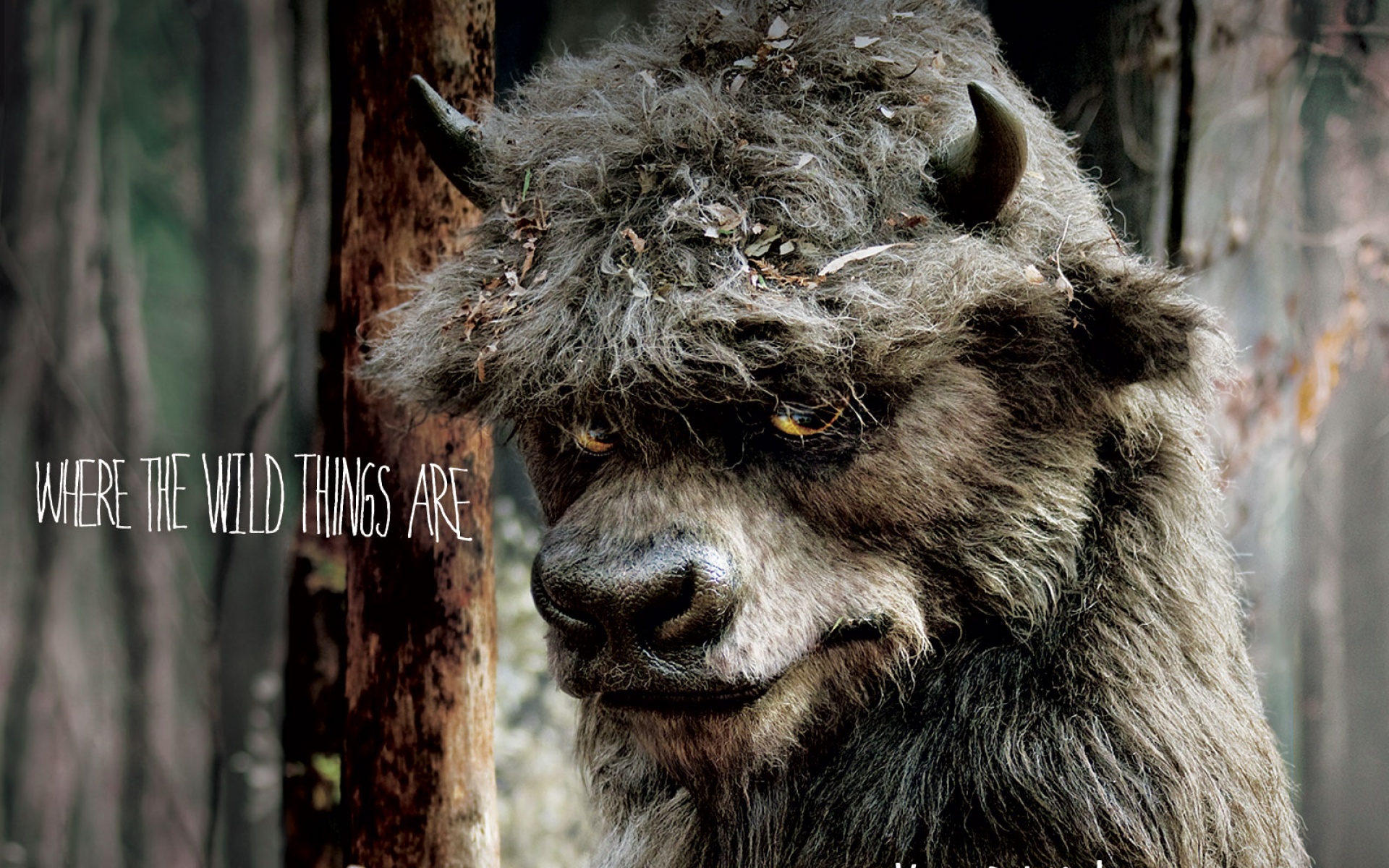 野兽家园,影视,卡通,2012Y十一月03D,科幻惊悚