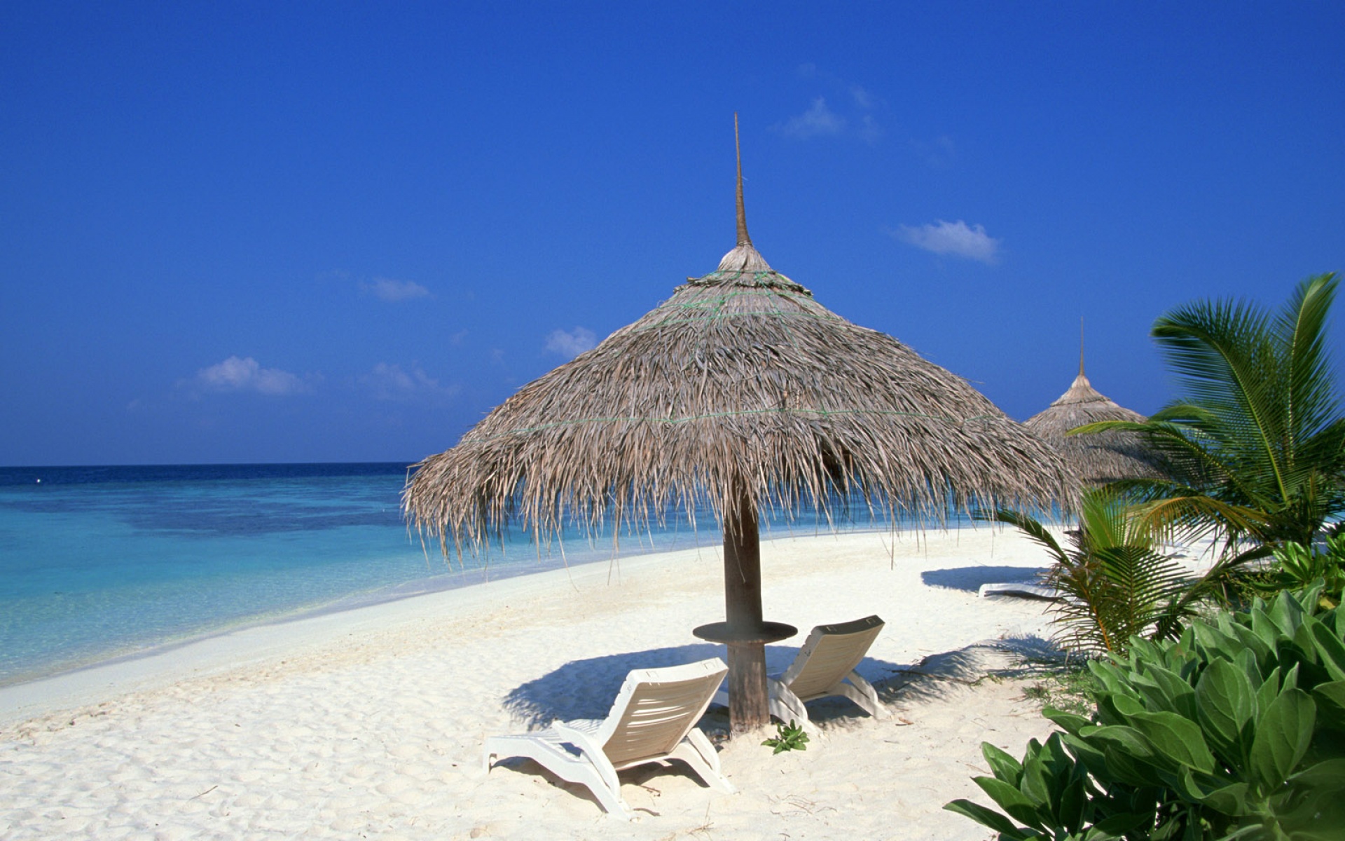 风景,海洋天堂,2012Y十一月11D,儿童桌面专用