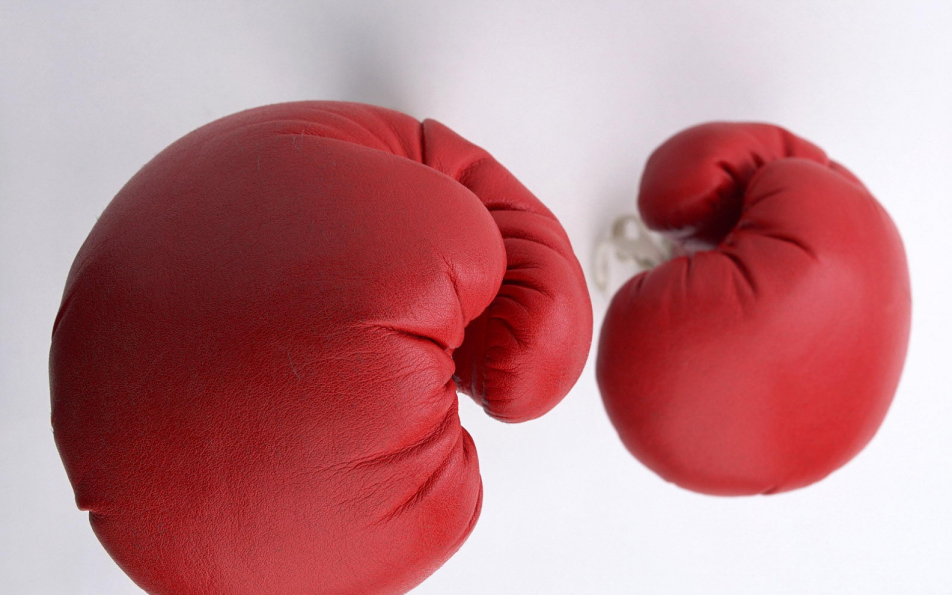 运动,2012Y十一月12D