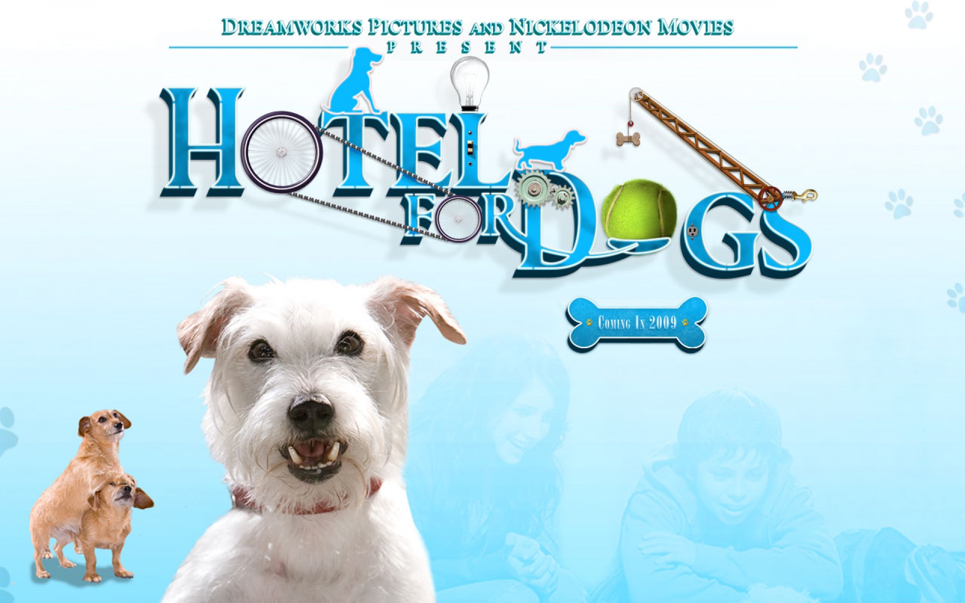 电影,影视,2012Y十一月08D