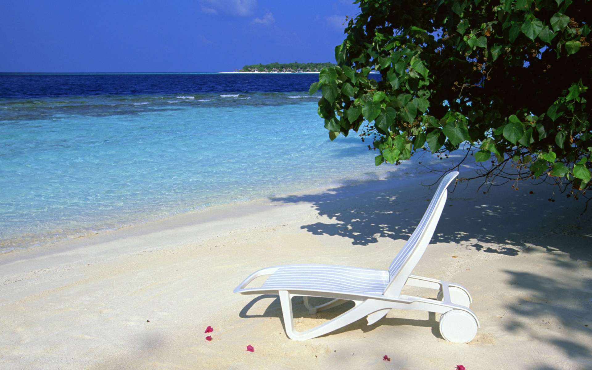 风景,海洋天堂,2012Y十一月12D,儿童桌面专用