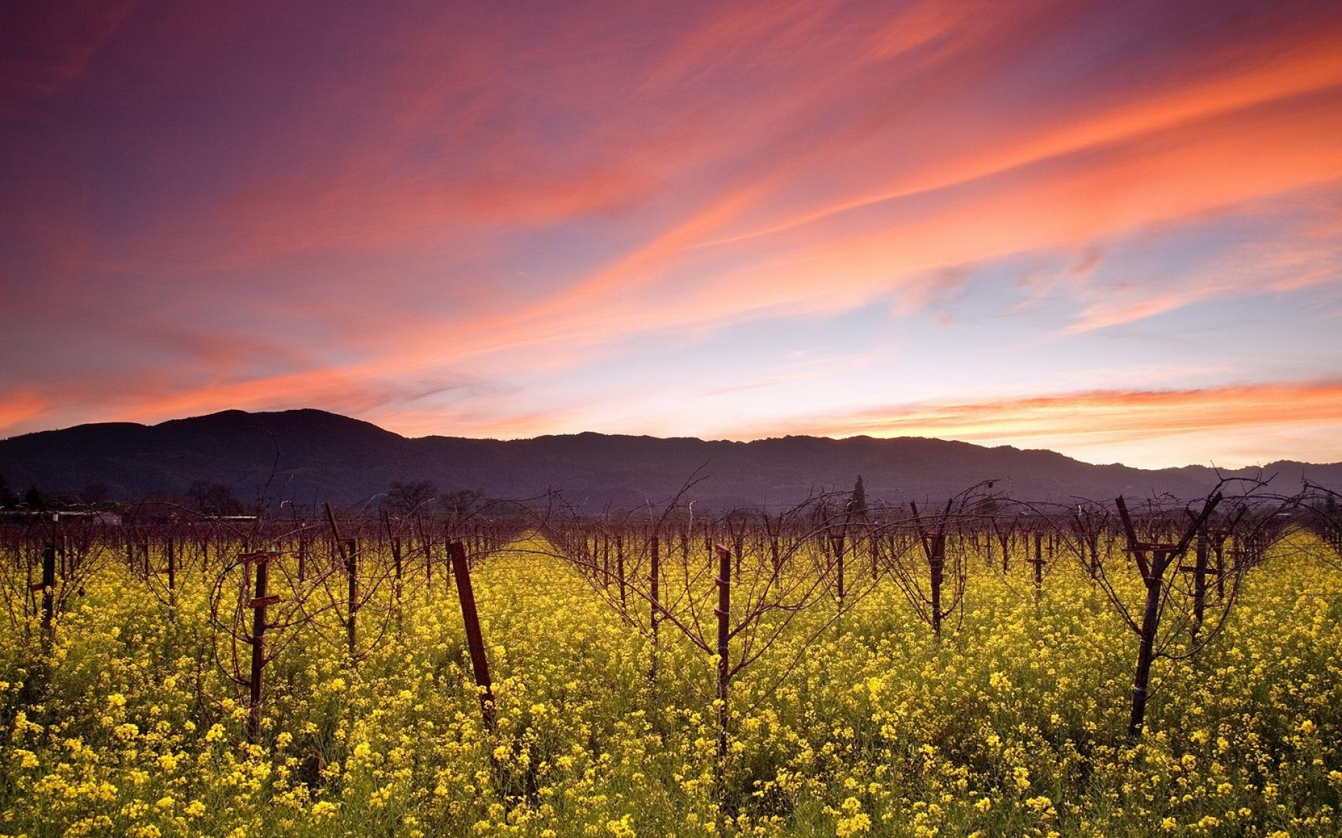 风景,自然风光,2012Y十一月16D,儿童桌面专用
