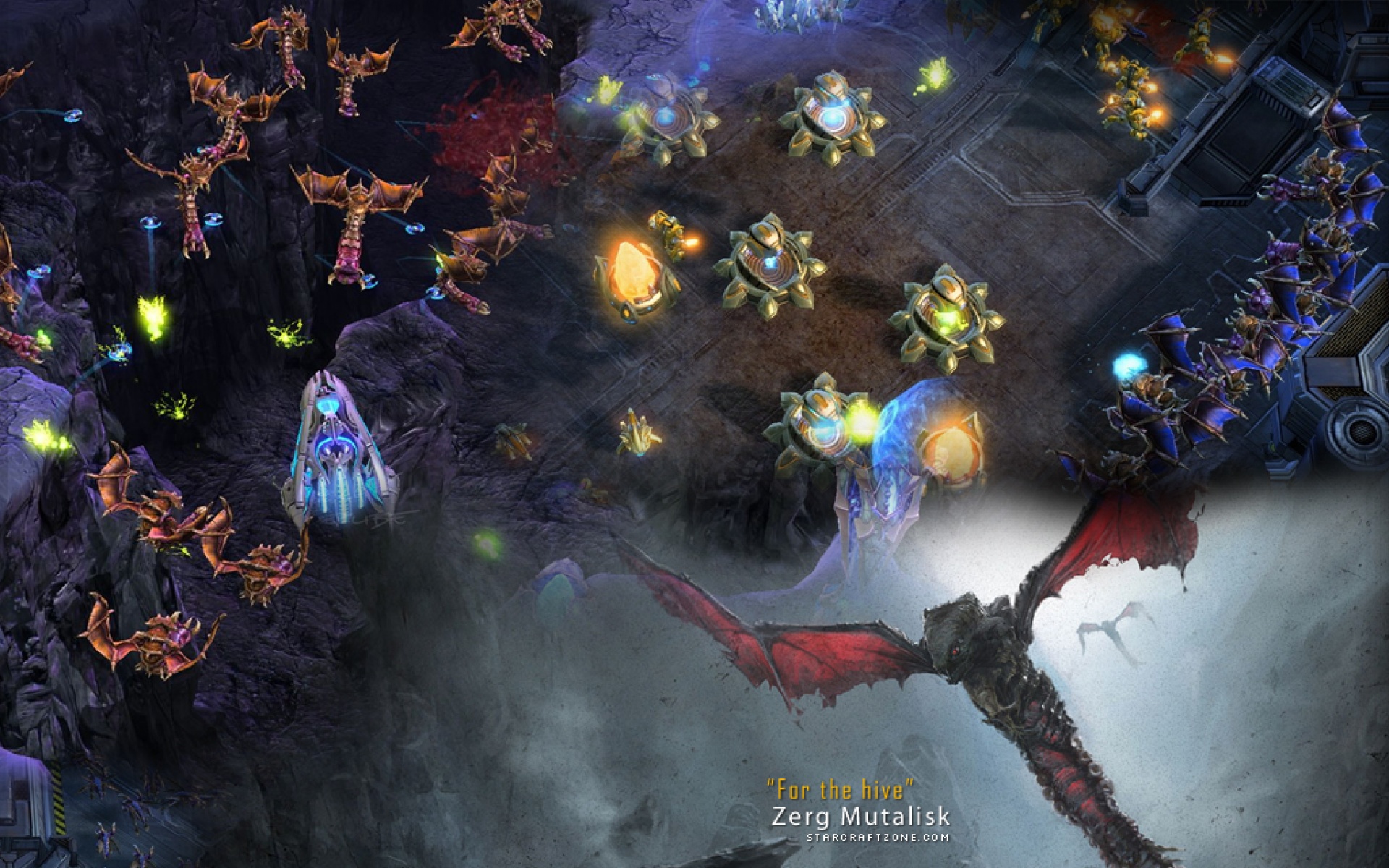 星际,争霸,游戏,2012Y十一月10D