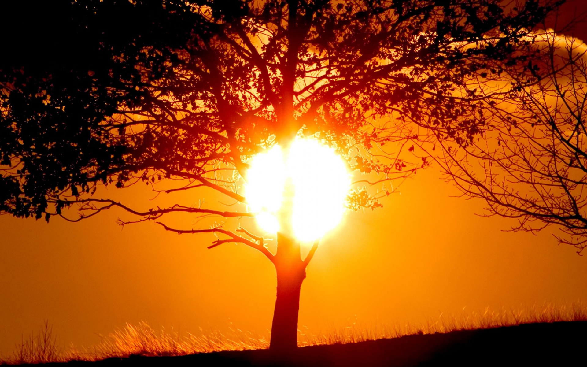 黄金,海岸,精美,宽屏,日落,日出,2012Y十月30D,儿童桌面专用