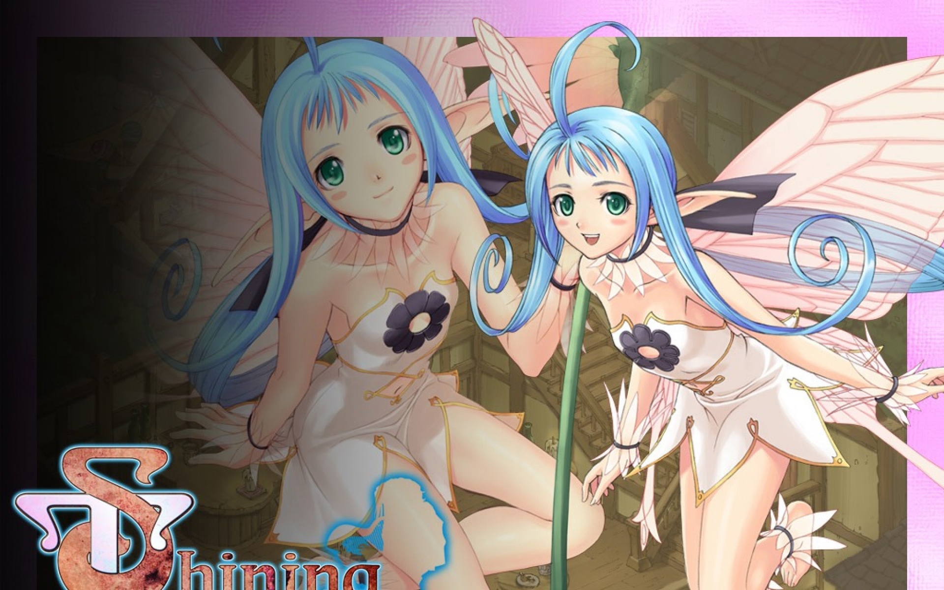 光明,之泪,游戏,2012Y十一月12D