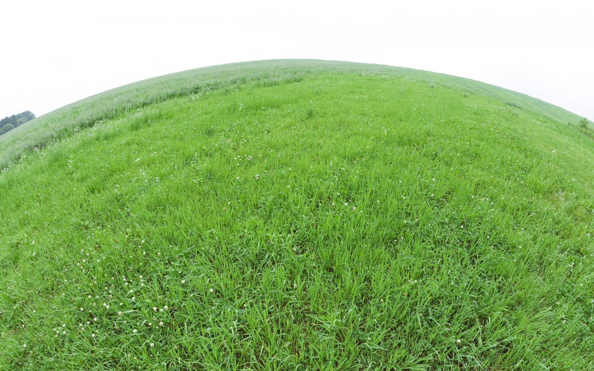 小清新,护眼壁纸,绿色,儿童桌面专用