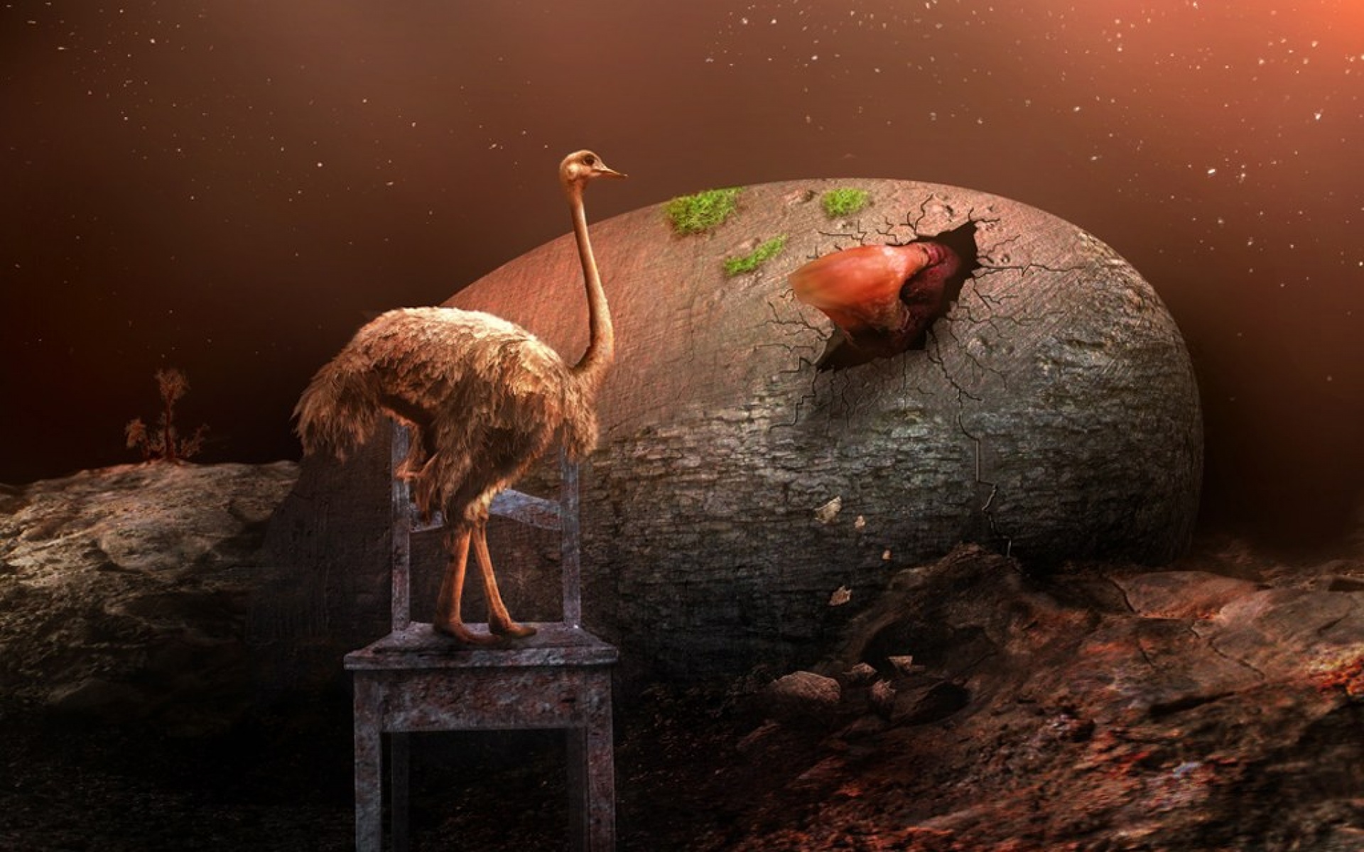 魔幻,世界,设计,精美,插画,2012Y十一月03D,创意,儿童桌面专用