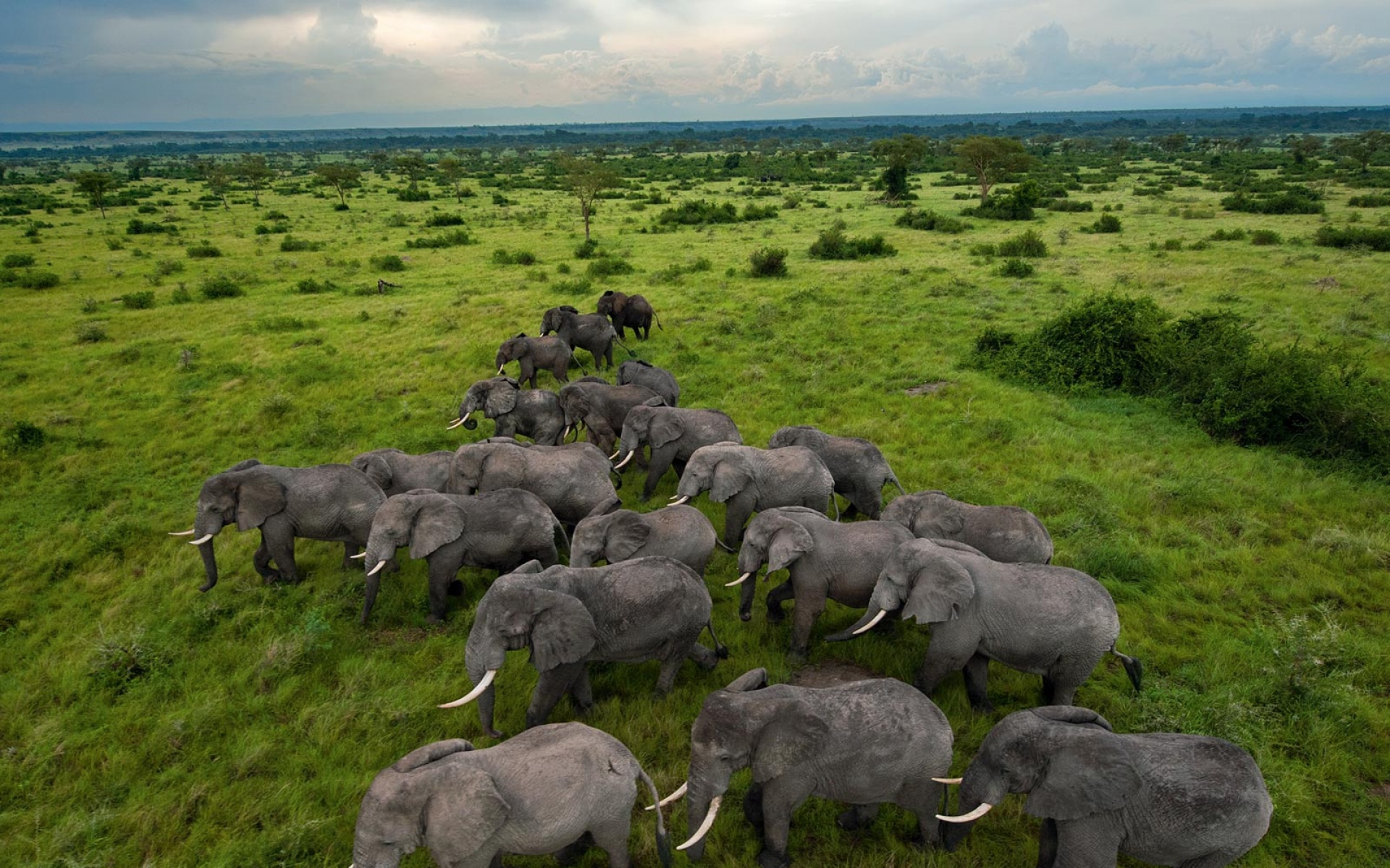 风景,碧绿草原,2012Y十月30D,儿童桌面专用
