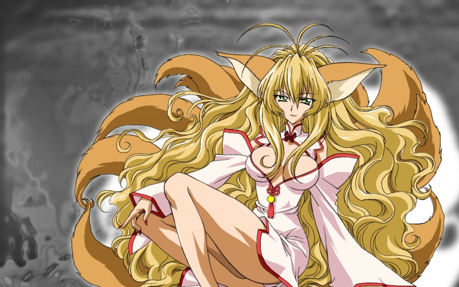 暗的帽子与书之旅人,动漫,2012Y十一月21D