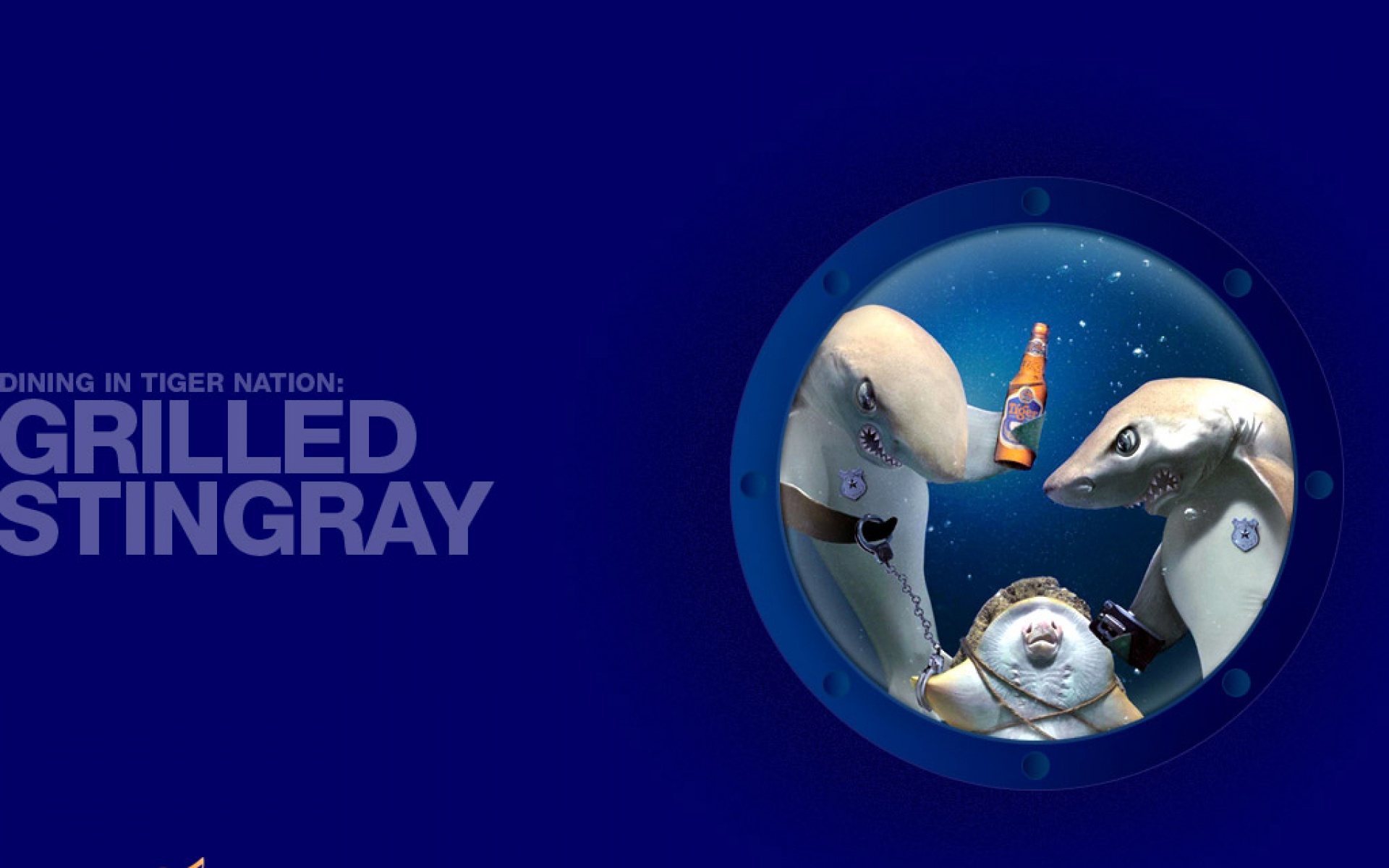 设计,蓝色,趣味,儿童桌面专用