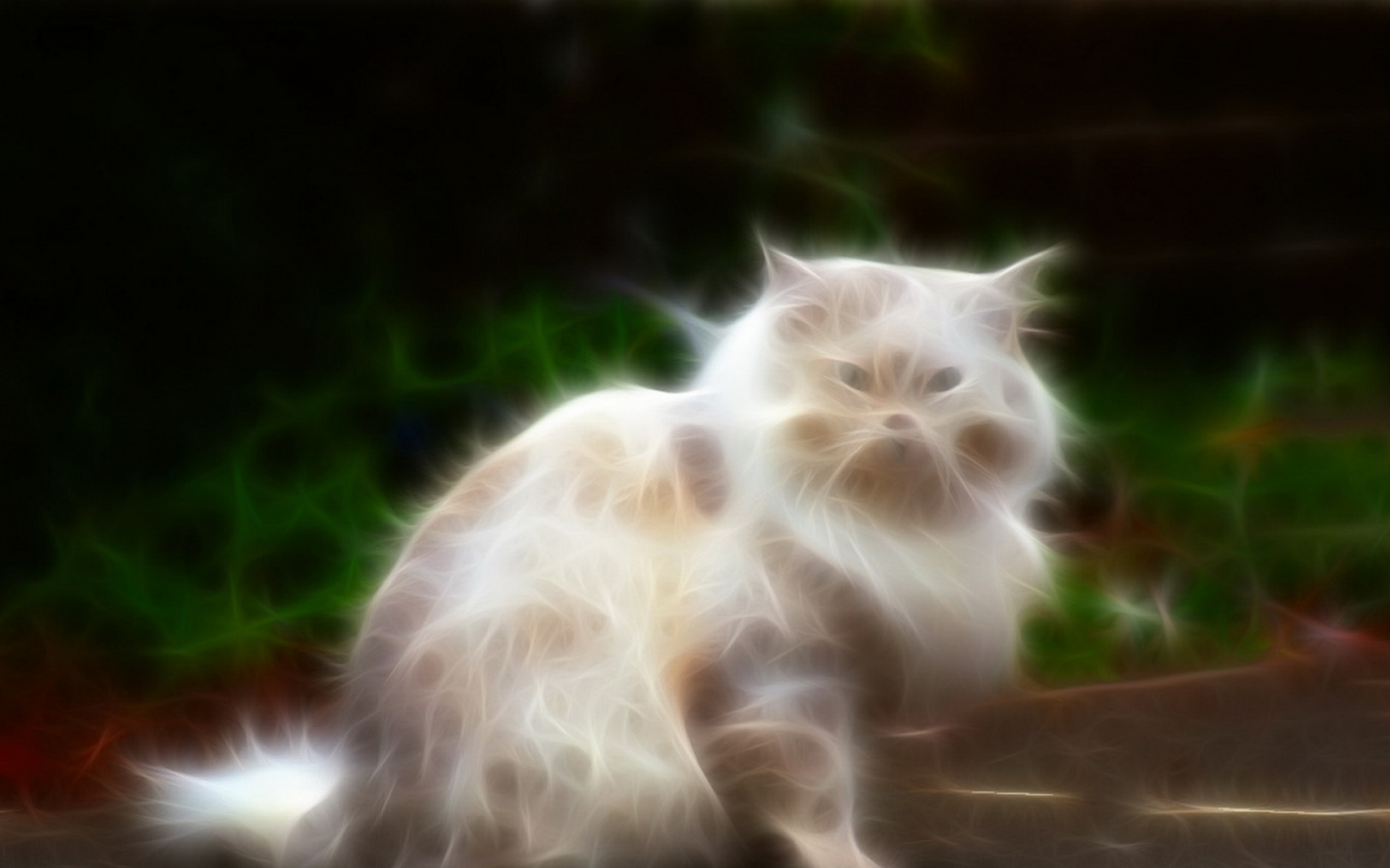 光线,描绘,猫科,动物,2012Y十一月04D,儿童桌面专用