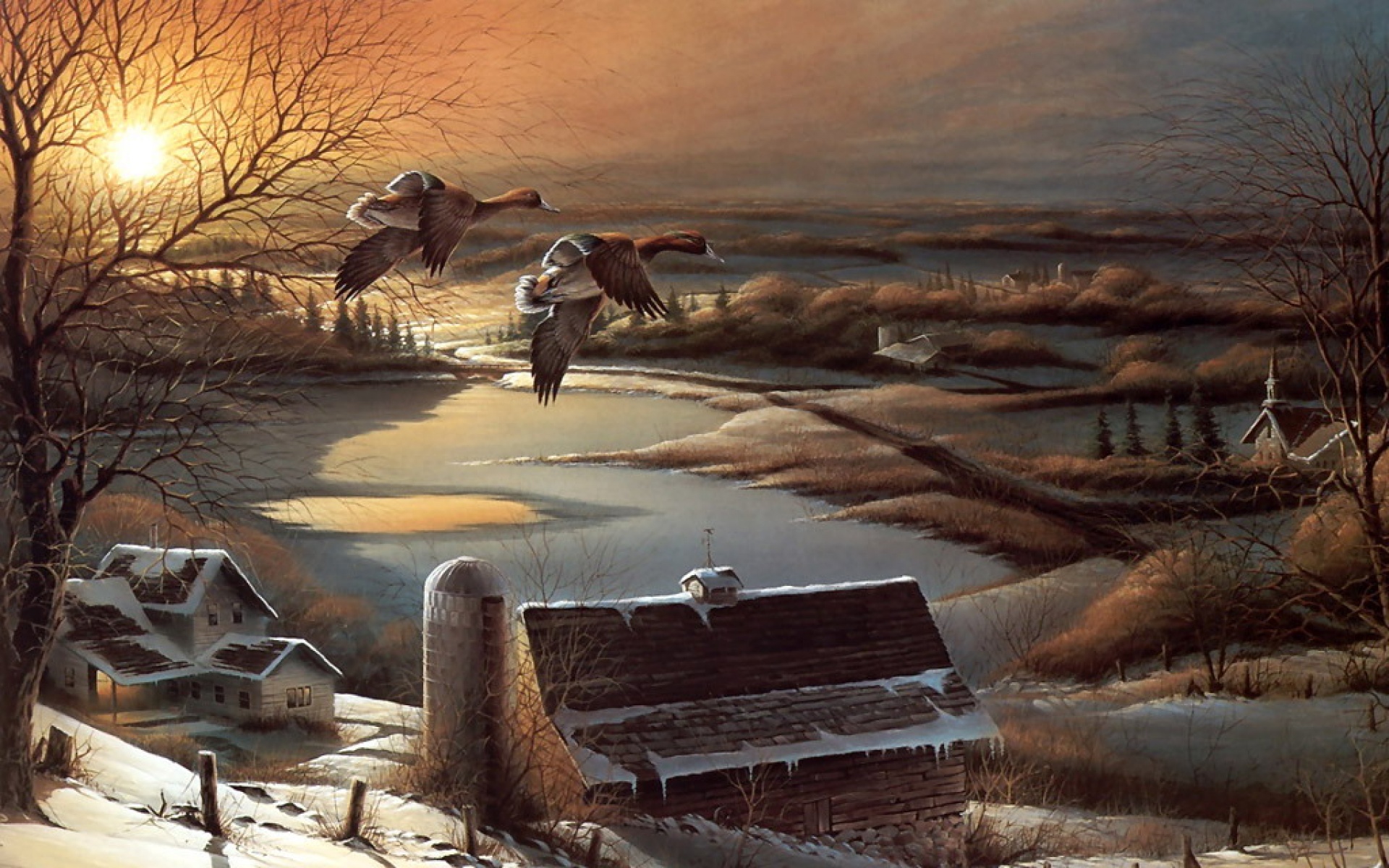 动物,绘画,风格,2012Y十一月05D,儿童桌面专用