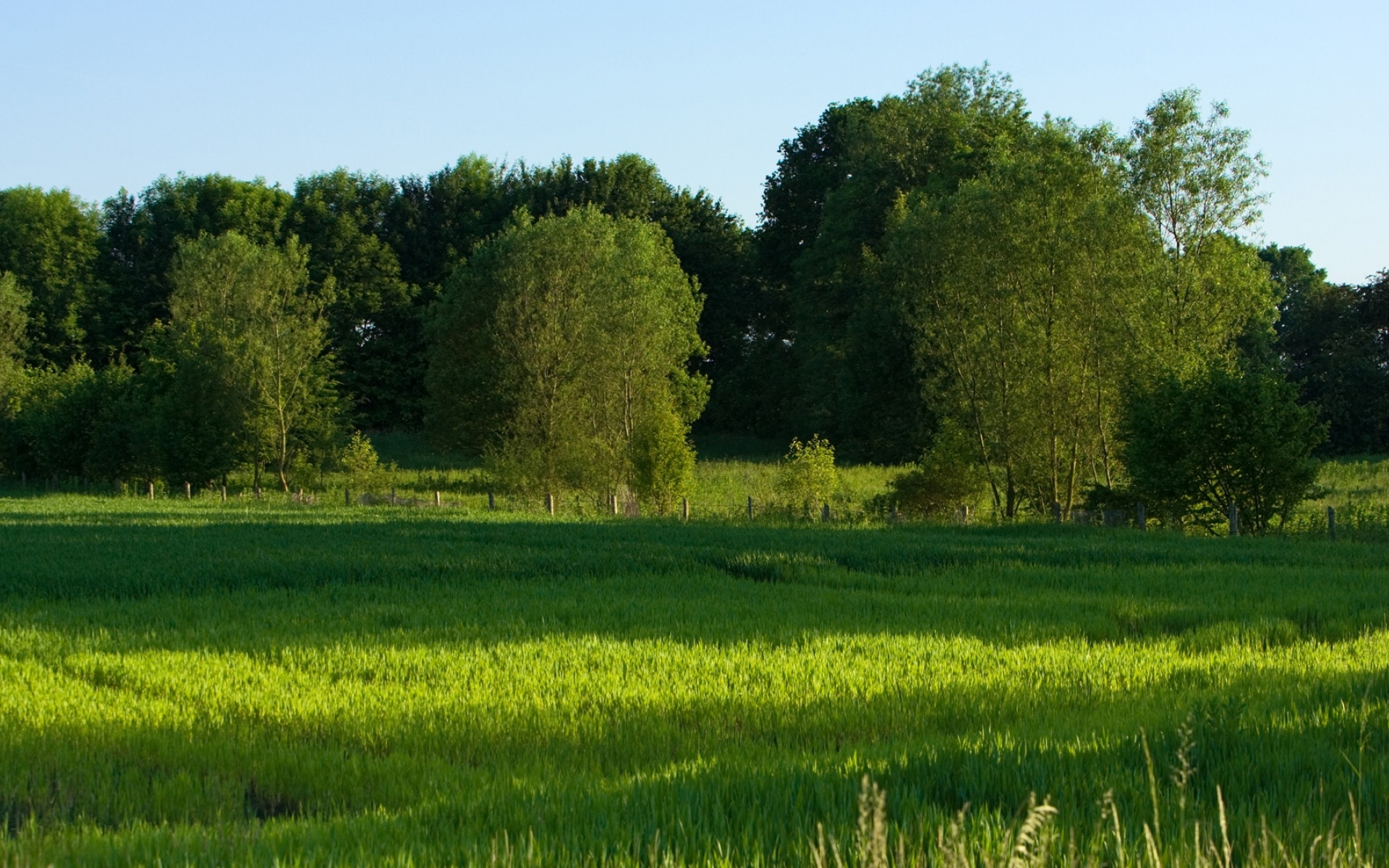 高清,摄影,风光,风景,宽屏,1080p,2012Y十月31D,儿童桌面专用