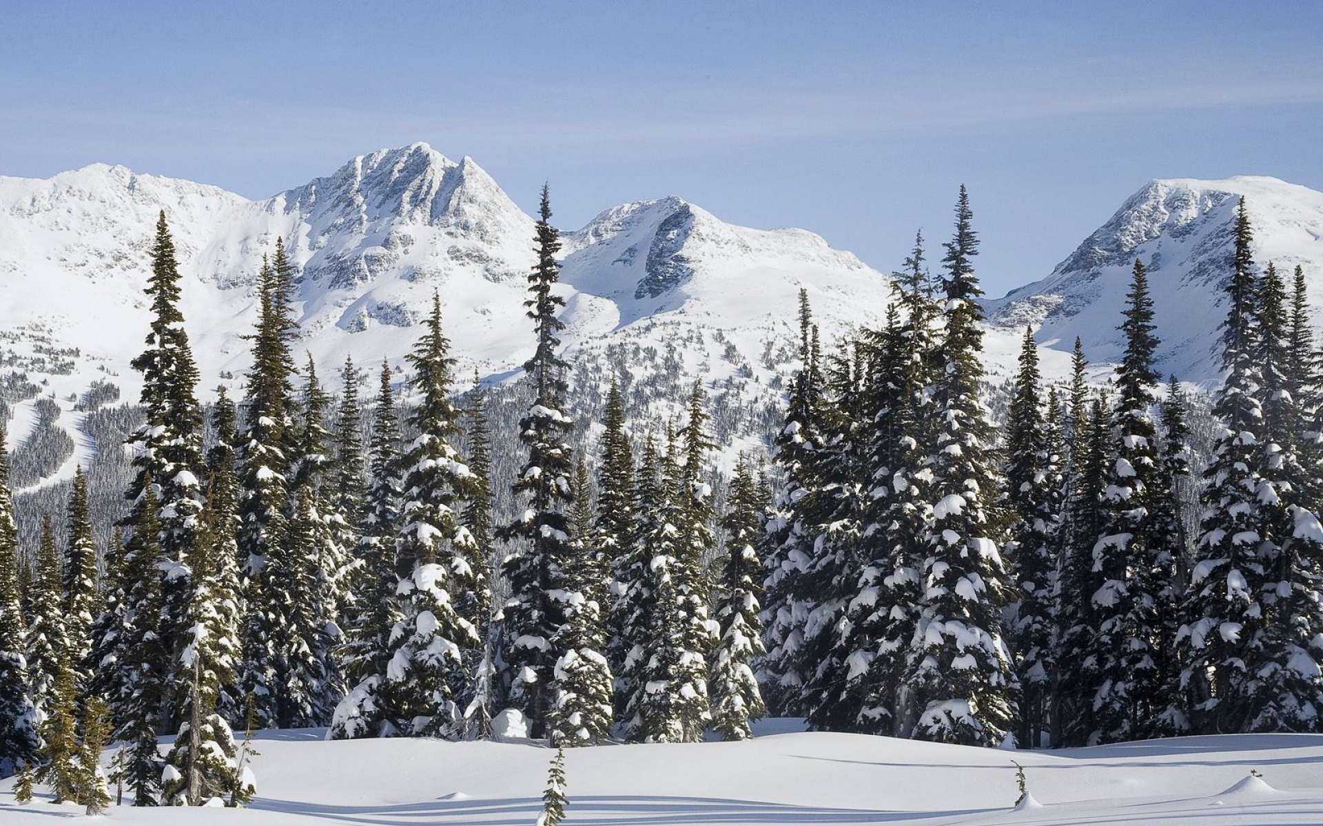 风景,冰天雪地,2012Y十一月03D,儿童桌面专用