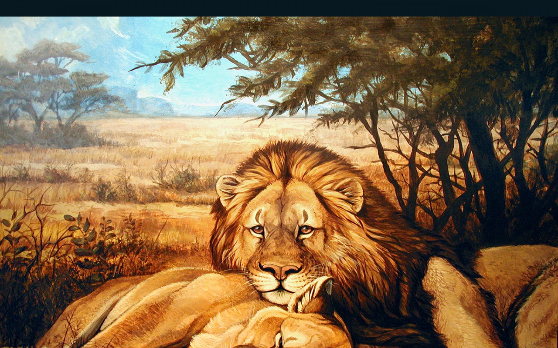 动物,绘画,风格,2012Y十一月10D,儿童桌面专用