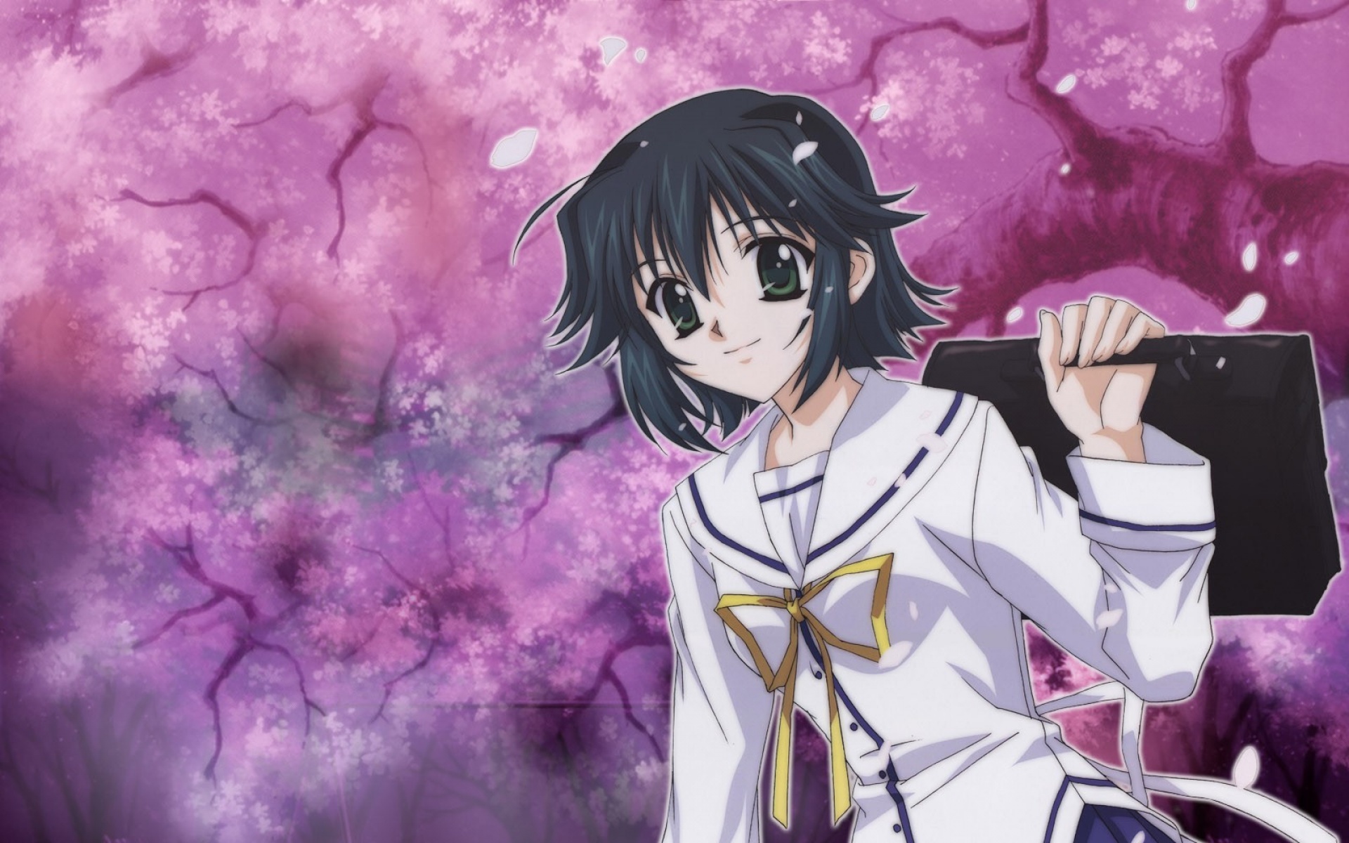 初音岛,动漫,2012Y十一月21D,儿童桌面专用