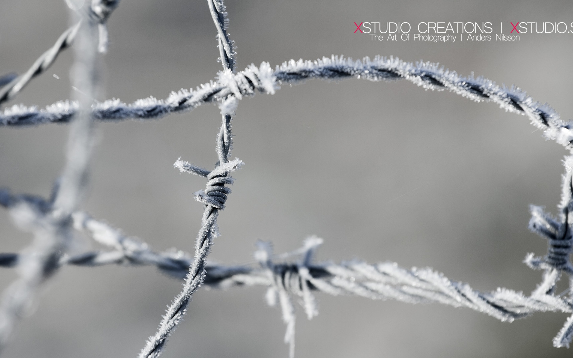 Xstudio,精美,设计,摄影,风光,风景,宽屏,1080p,2012Y十月31D,创意,儿童桌面专用