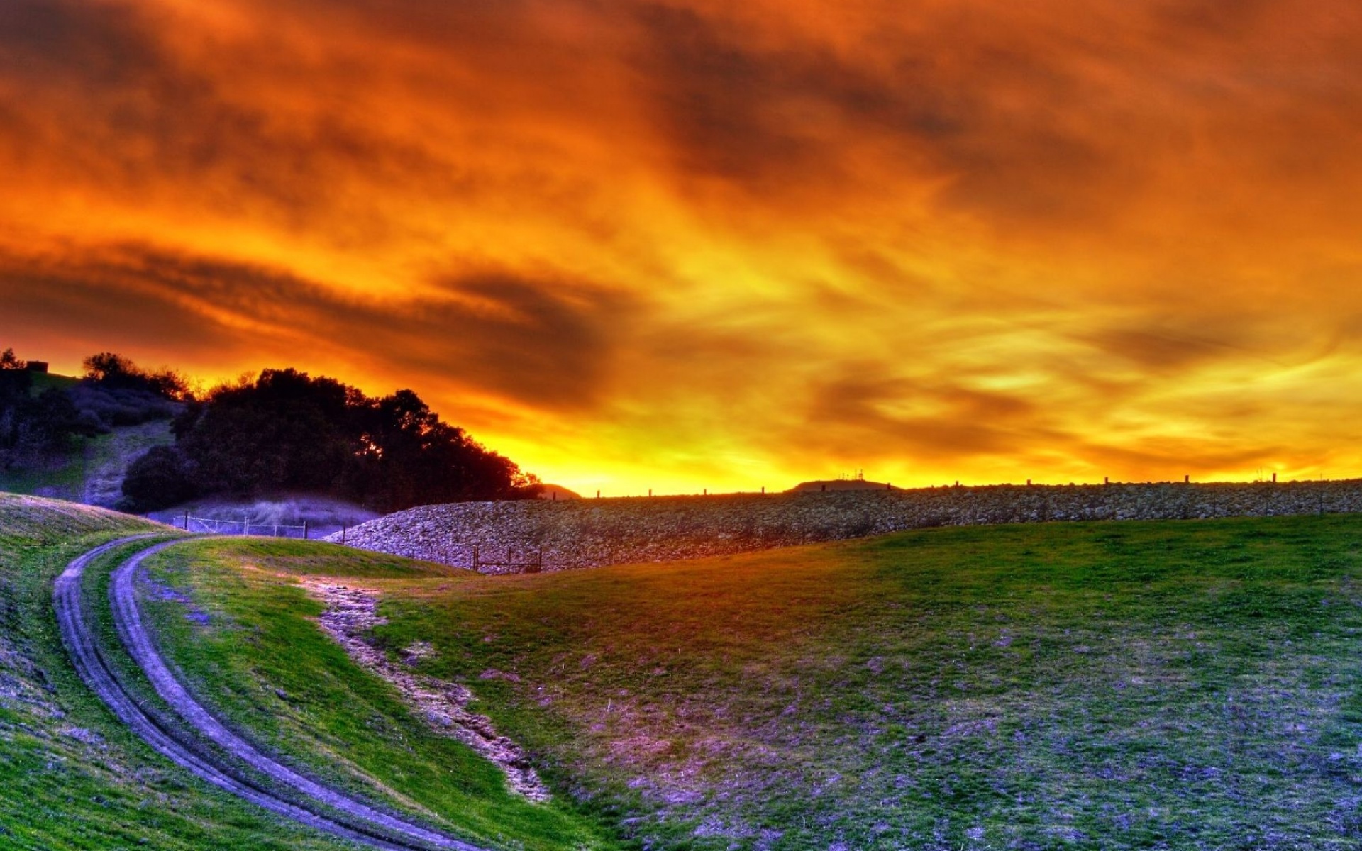 黄金,海岸,精美,宽屏,日落,日出,2012Y十月30D,儿童桌面专用