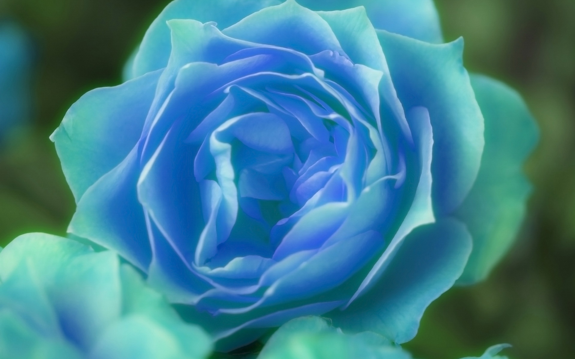 小清新,清新淡雅,花卉,儿童桌面专用