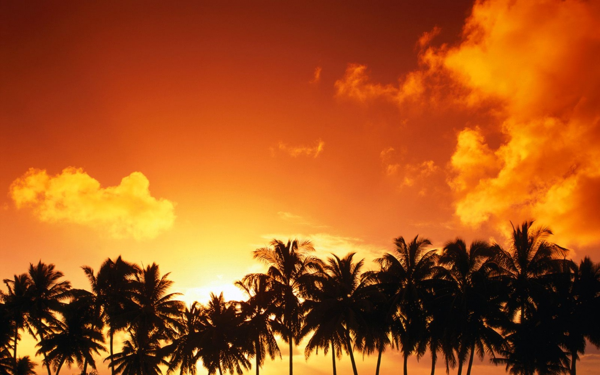 风景,落日余晖,2012Y十一月03D,儿童桌面专用