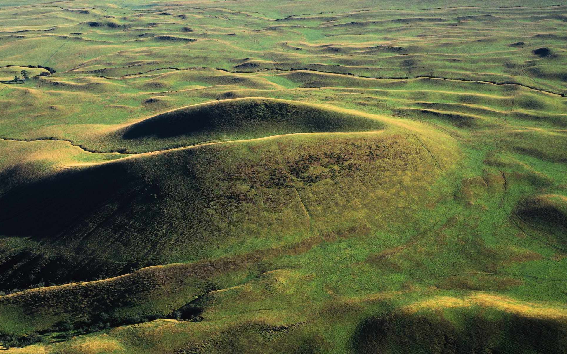 风景,碧绿草原,2012Y十一月04D,儿童桌面专用