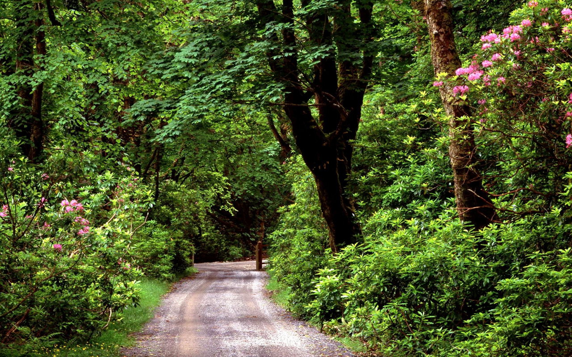 风景,自然风光,2012Y十一月16D,儿童桌面专用