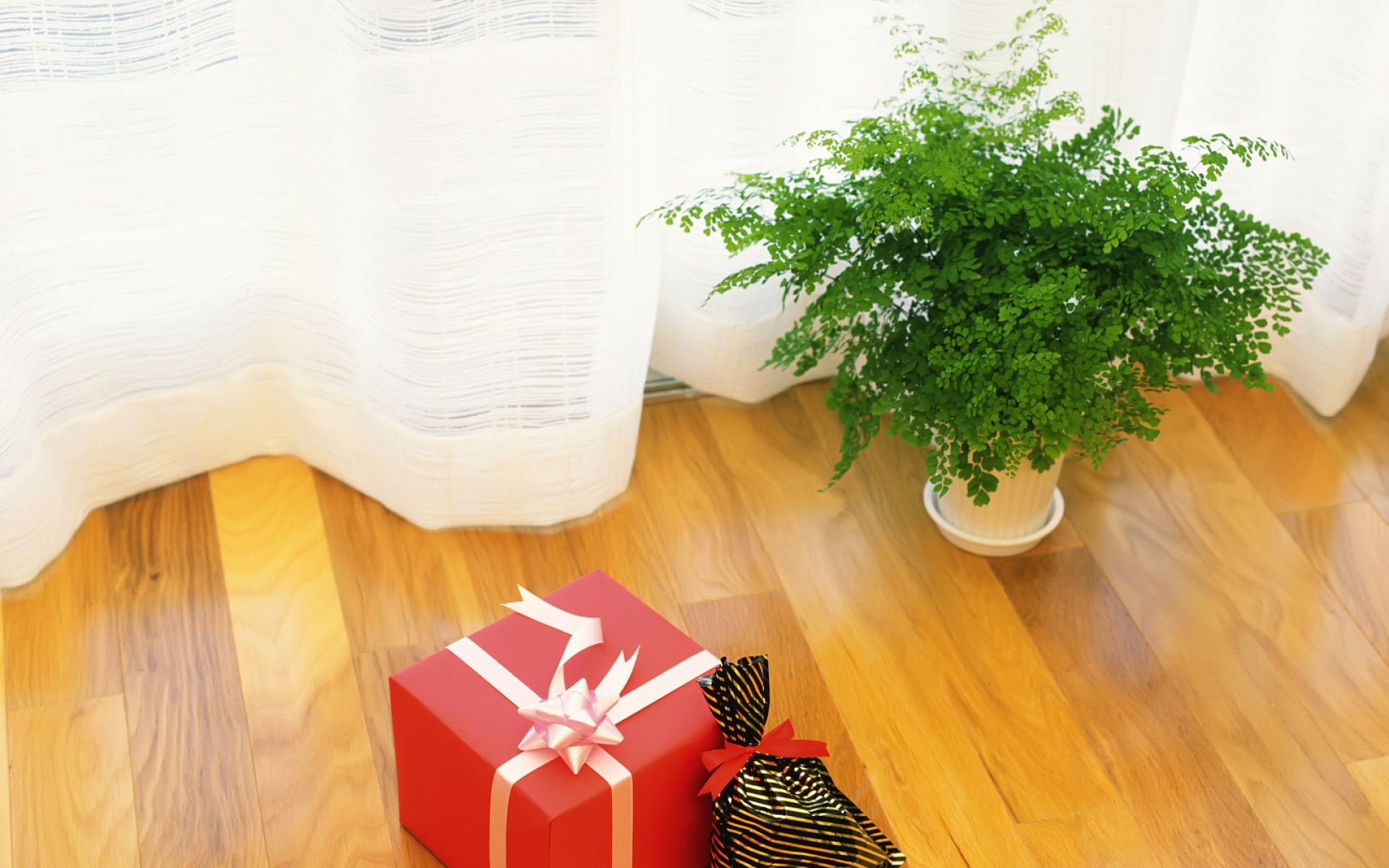 小清新,静物写真,绿色,儿童桌面专用