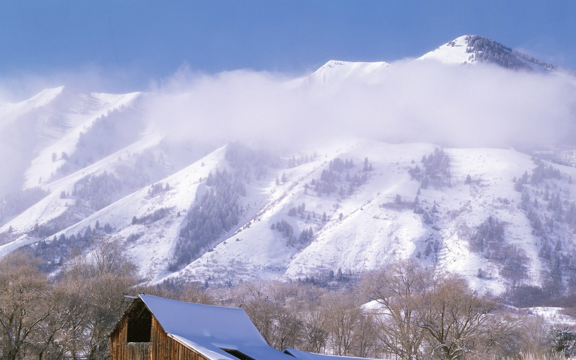 风景,冰天雪地,2012Y十一月11D,儿童桌面专用