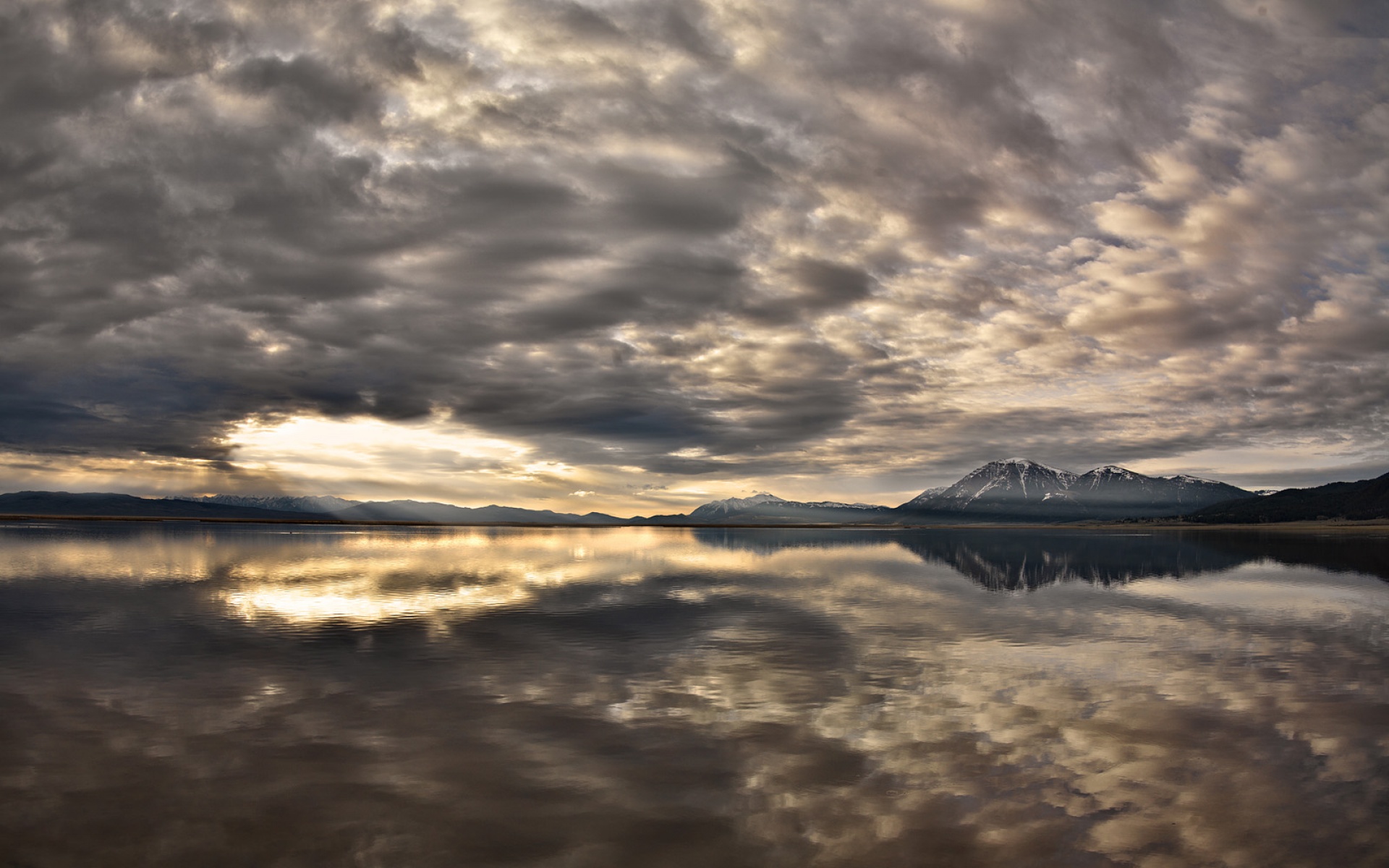 Webshots,2010年,十一月,精美,风光,动物,摄影,2012Y十月31D,儿童桌面专用