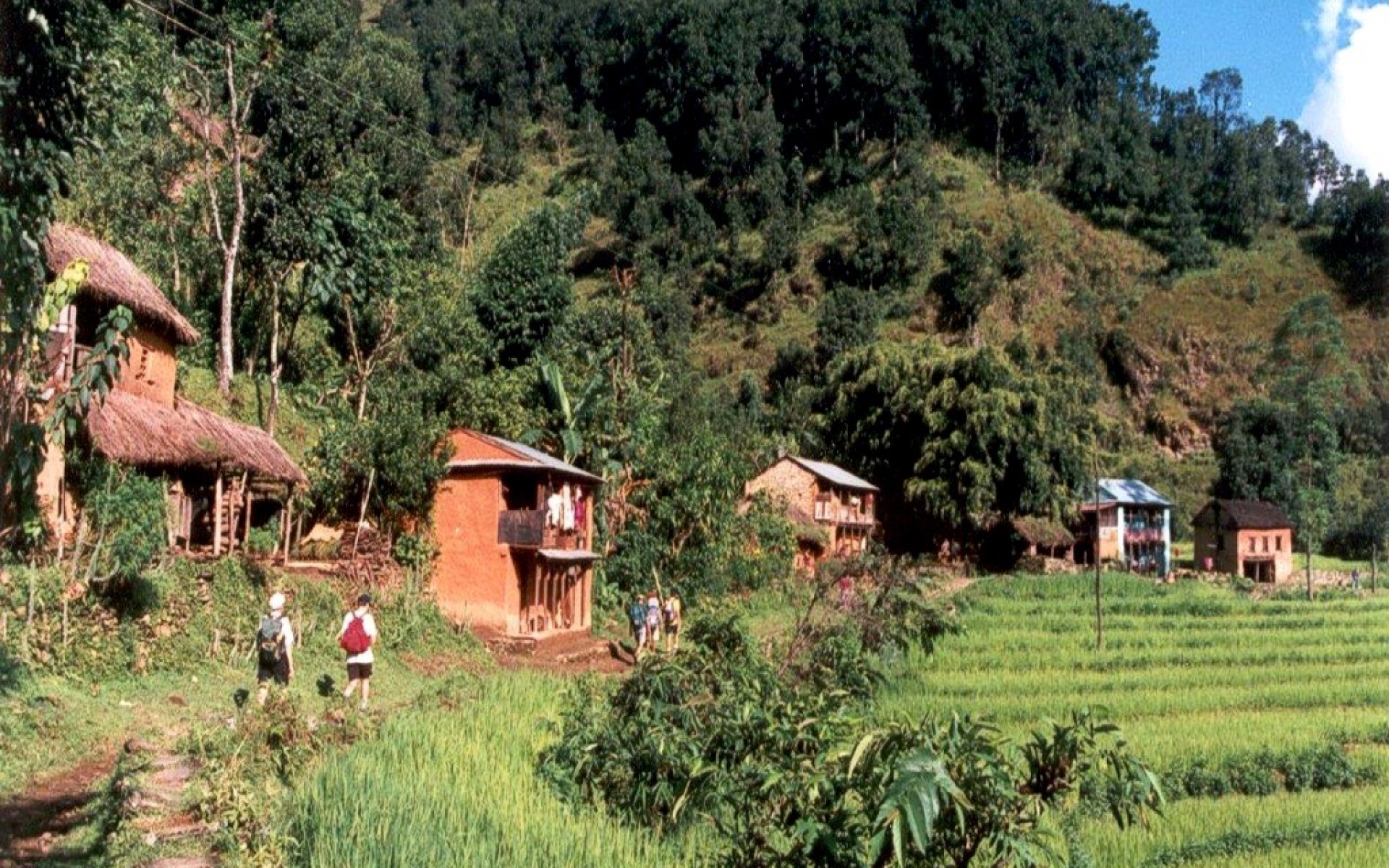 风景,自然风光,2012Y十一月16D,儿童桌面专用