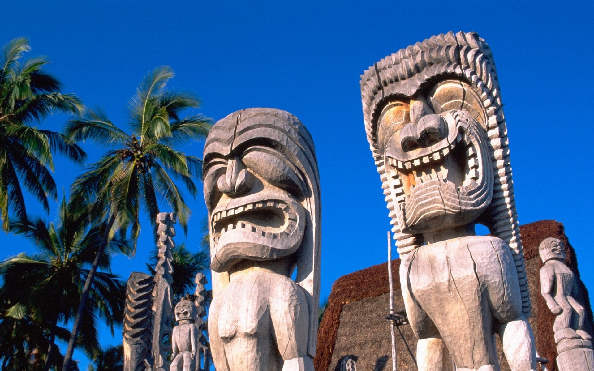 风景,旅游胜地,2012Y十一月04D,儿童桌面专用